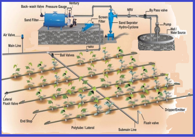 Drip irrigation layout and its parts