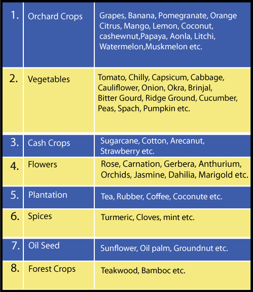 Crop suitable for drip irrigation