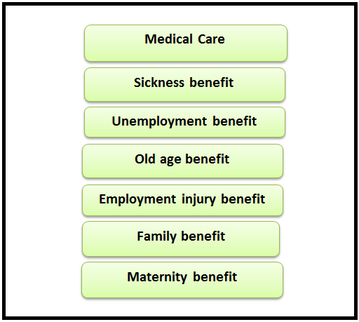 Government policies and interventions