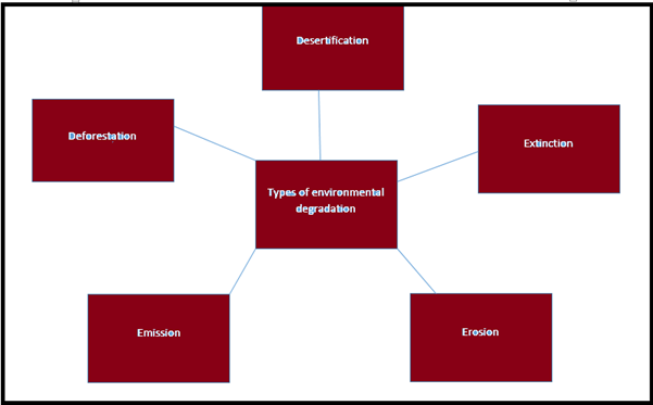 Environmental Degradation