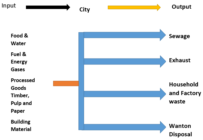 Urbanization