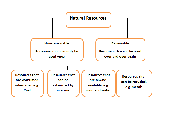 Types of resources