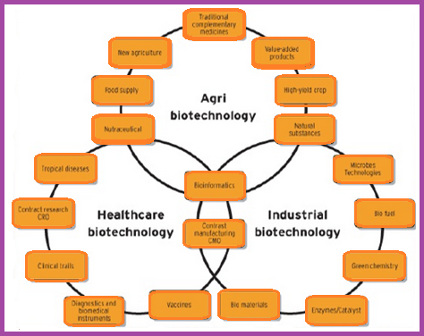 biotechnology applications biotech aspects fields essay bio technology awareness goals definition connections jobs north create make