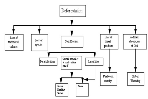 Desertification in africa essay