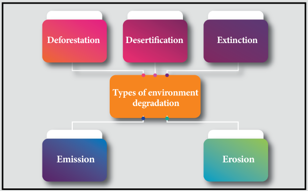 Environmental Degradation