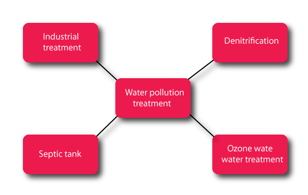 Essay about environmental degradation