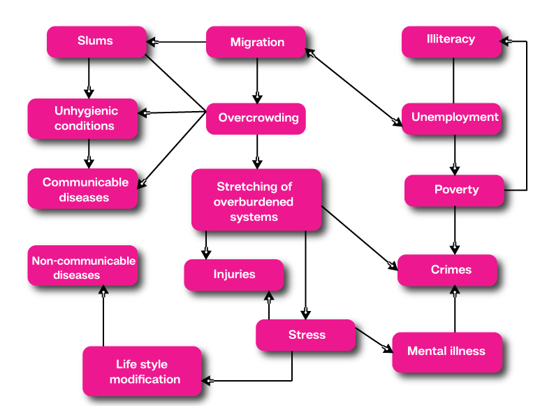 Effects of population on environment essay