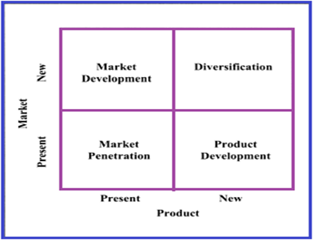 concentric diversification growth strategy