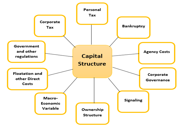 Capital Structure Design