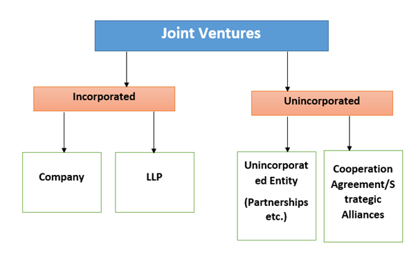 joint venture joint venture