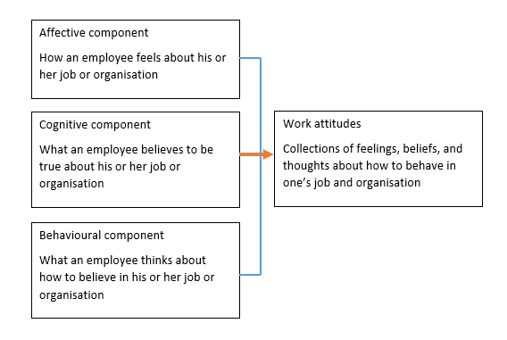 Components of Attitudes