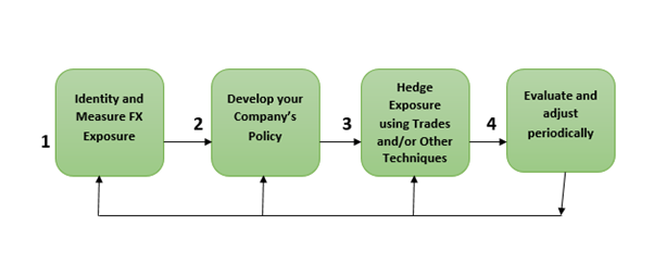 Foreign Exchange Risk