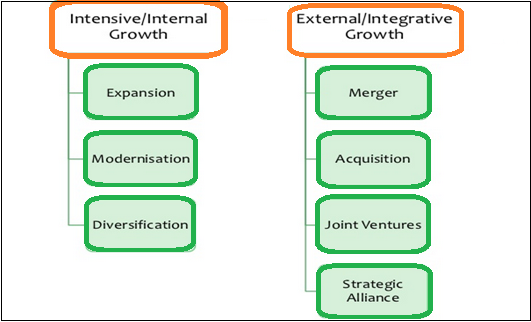 What is an intensive growth strategy?