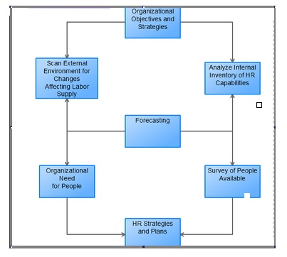 Human Resource Planning HR Planning
