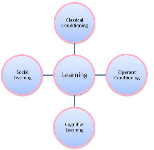 learning framework theoretical concepts theory social cognitive conditioning reinforcement operant concept classical physical subject notes management