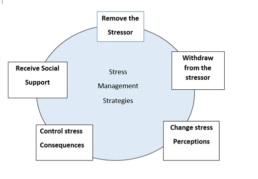 Stress Management Strategies