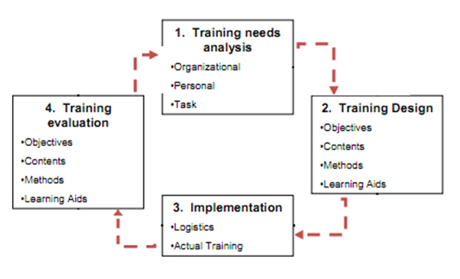 Training Process