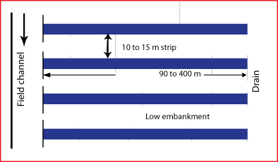 Border Strip Method