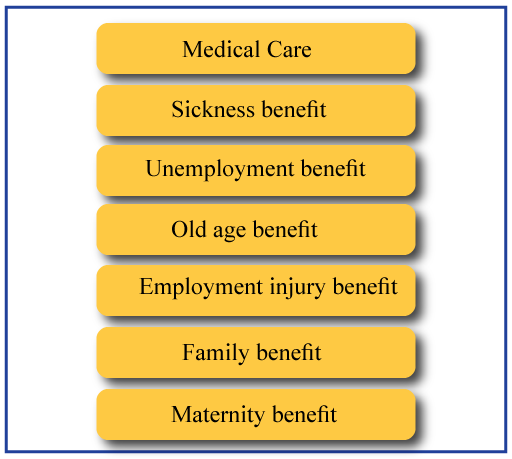 Government policies and interventions