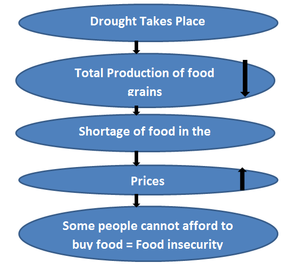 Drought impact on food insecurity