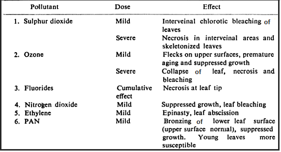 Effect of Pollutant On Plants Environmental Pollution and Degradation