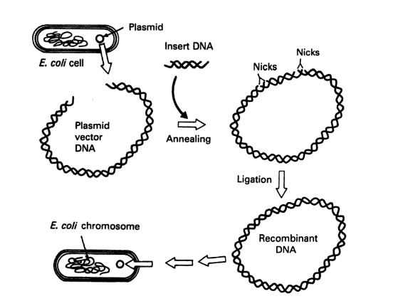 Biotechnology Awareness