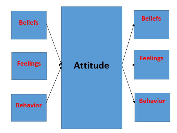 The Three Component Model of Attitudes