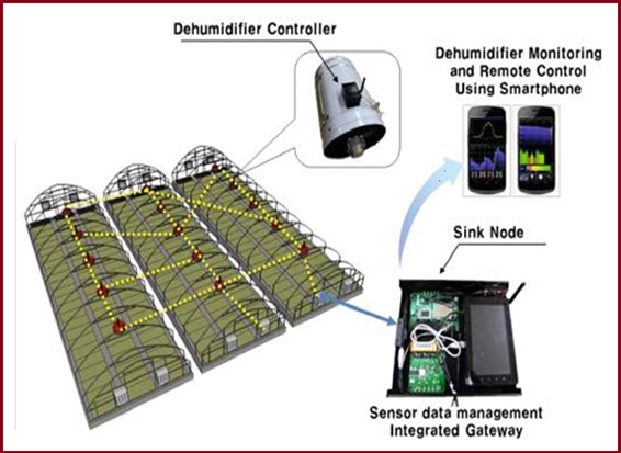 Automatic dehumidifier control system