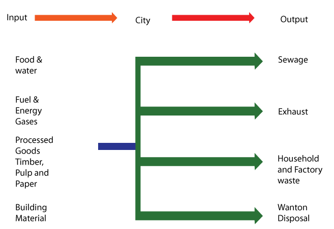 Urbanization