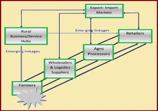 Dynamics Of The Modern Agri Food System