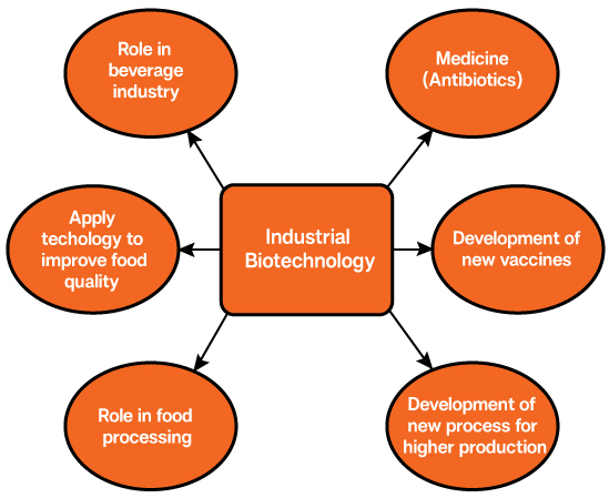 Industrial Biotechnology Industrial Biotechnology