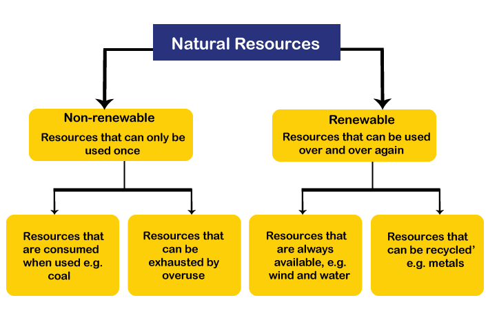 Types of resources