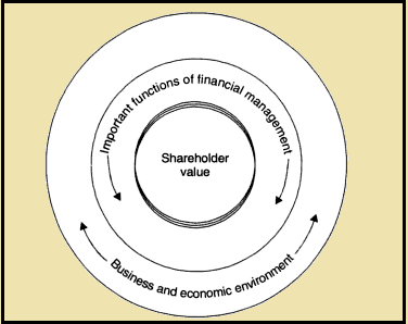 Shareholder Value