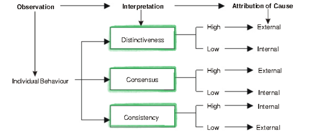 Attribution Theory of Perception