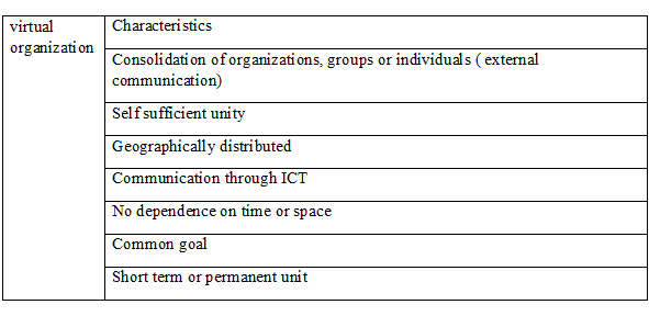 Characteristics of Virtual Organization Virtual Organization