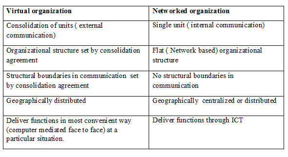 Virtual and Networked Virtual Organizations
