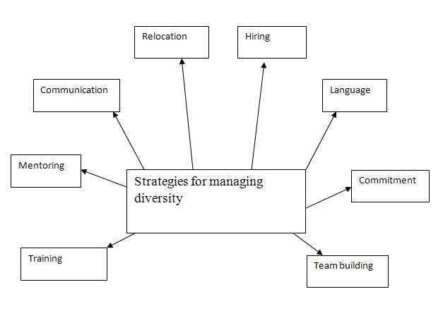 Managing Diversity Strategies