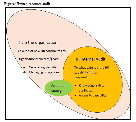 Human Resource Audit HR Audit