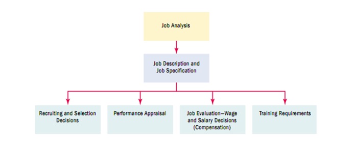 Job Analysis Issues Job Analysis