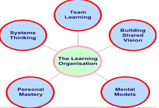 Learning Organization Types Organizational Theory and Design