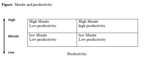 Relationship Between Employee Morale And Employee Productivity