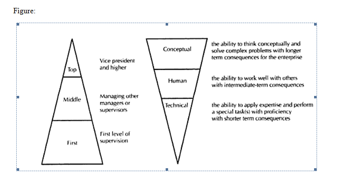 Managerial Skills Organization