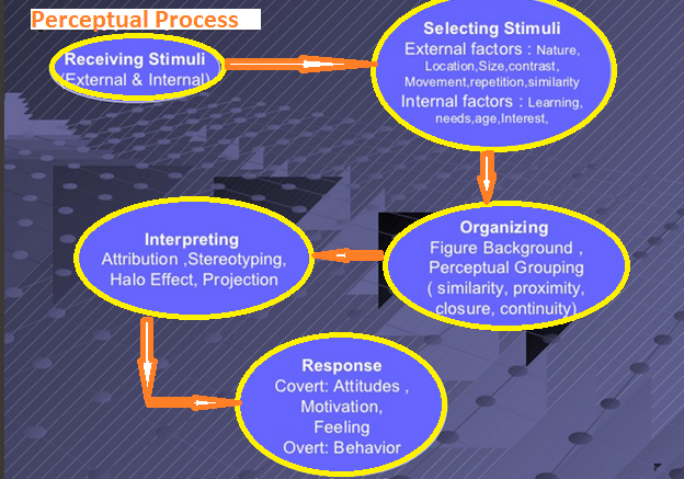 Perceptual Process