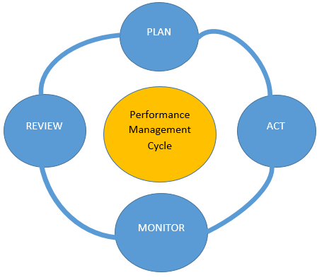 Performance Management Cycle