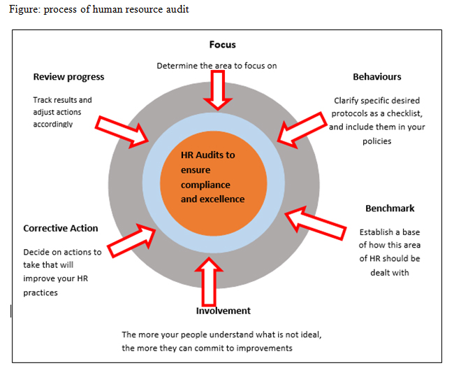 Process of HR Audit HR Audit
