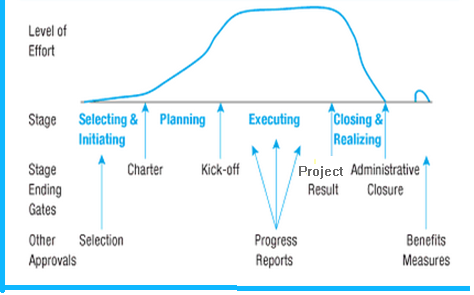 Project Life Cycle