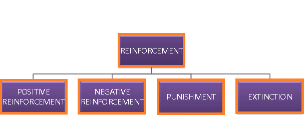 Learning and Reinforcement Learning and Reinforcement